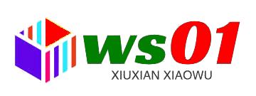 ws01博客